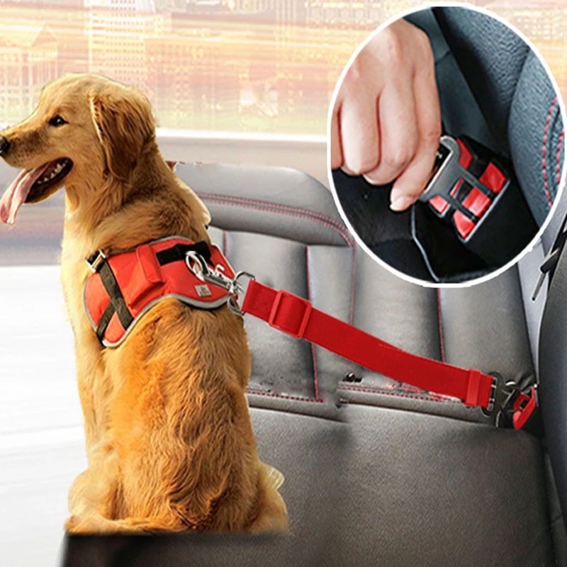 Correa de Seguridad Ajustable para Mascotas para Automóvil 1618642315250.jpg